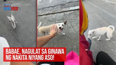 babae iniyot ng aso|Babae, nagulat sa ginawa ng nakita niyang aso! .